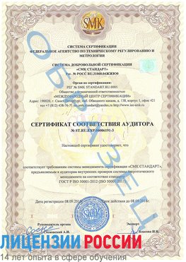 Образец сертификата соответствия аудитора №ST.RU.EXP.00006191-3 Самара Сертификат ISO 50001